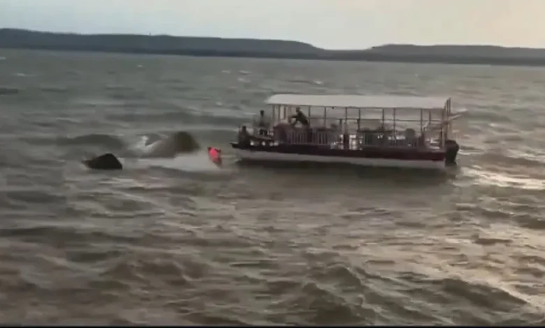 Bargi Dam Cruise Accident