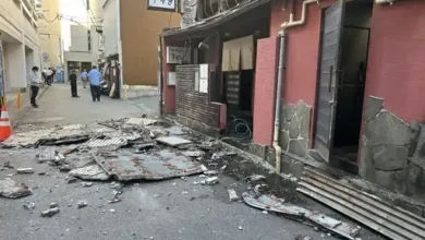 Japan Earthquake
