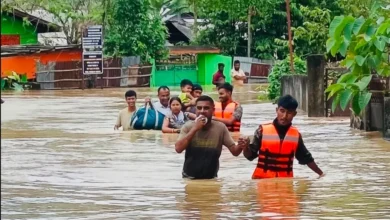 Assam Flood, Assam Flood Death Toll, Amit Shah Assam Flood, Himanta Biswa Sarma, Assam Flood Relief