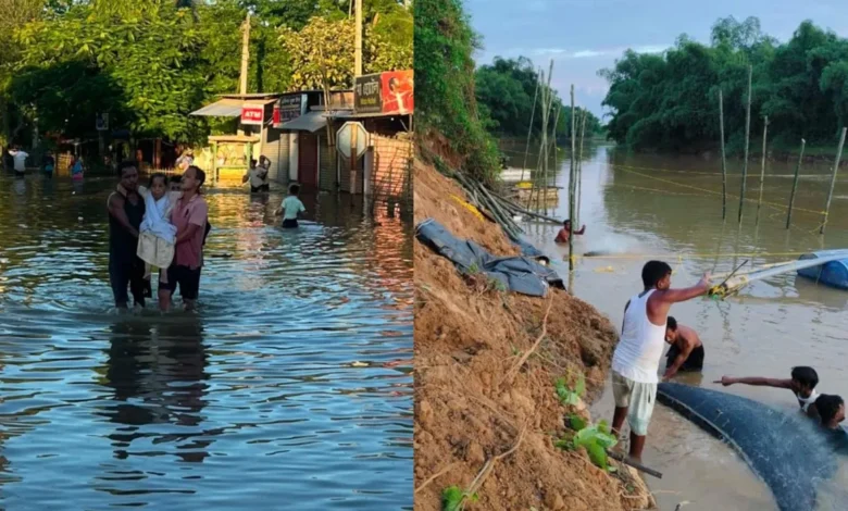 Assam Flood, Assam Rain, IMD Alert, Flood News, Assam Weather