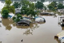 Bihar Flood, Bihar Flood Relief, Sonu Sood Bihar, Alakh Pandey Relief, Bihar Flood News